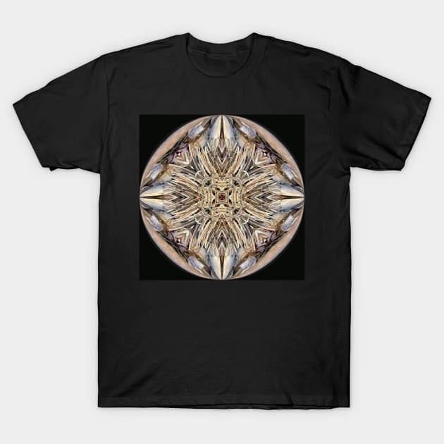 Wicker coin T-Shirt by Geo Nature